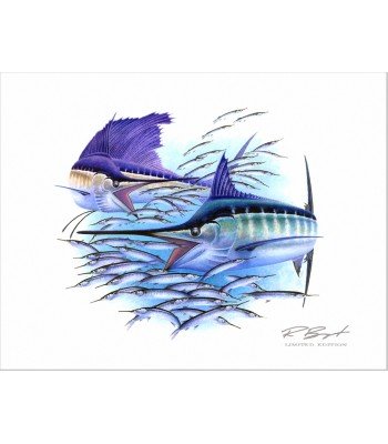 "Cincuenta"- Marlin Sailfish Ballyhoo